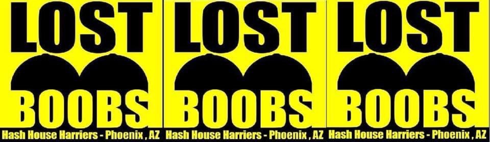 LBH #685: Happy Eiffel Tower Day, From In My Depends